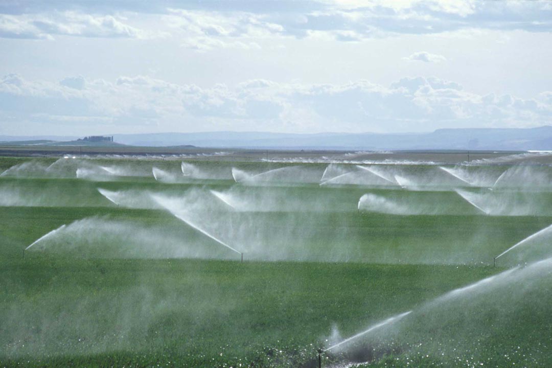 irrigation water supply